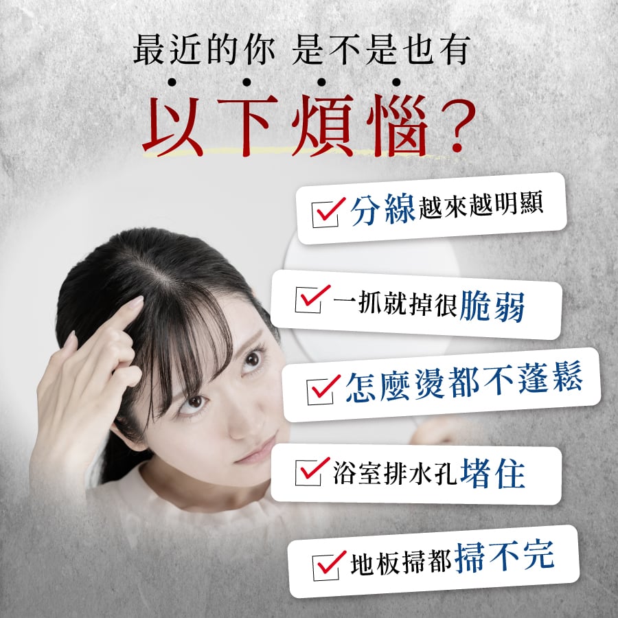 2024法倍多內頁_02.jpg