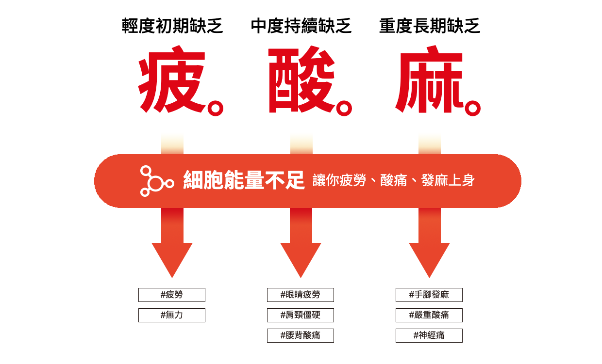 合利他命產品介紹- 醫療級維他命B群專家,緩解B1不足造成的疲、酸、麻